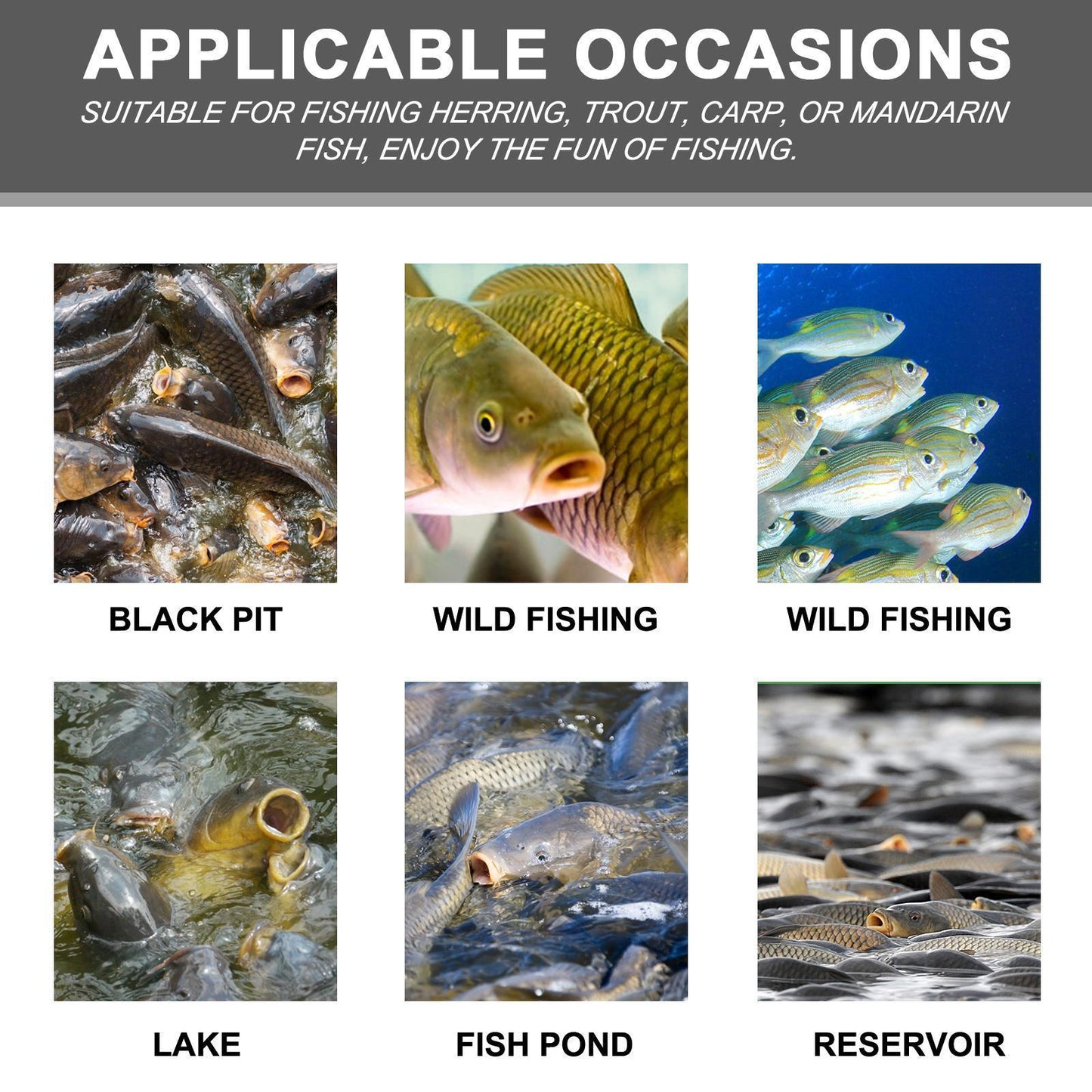 Yebang Corn Fish Bait Portable Fish Bait For Reservoir Fishing