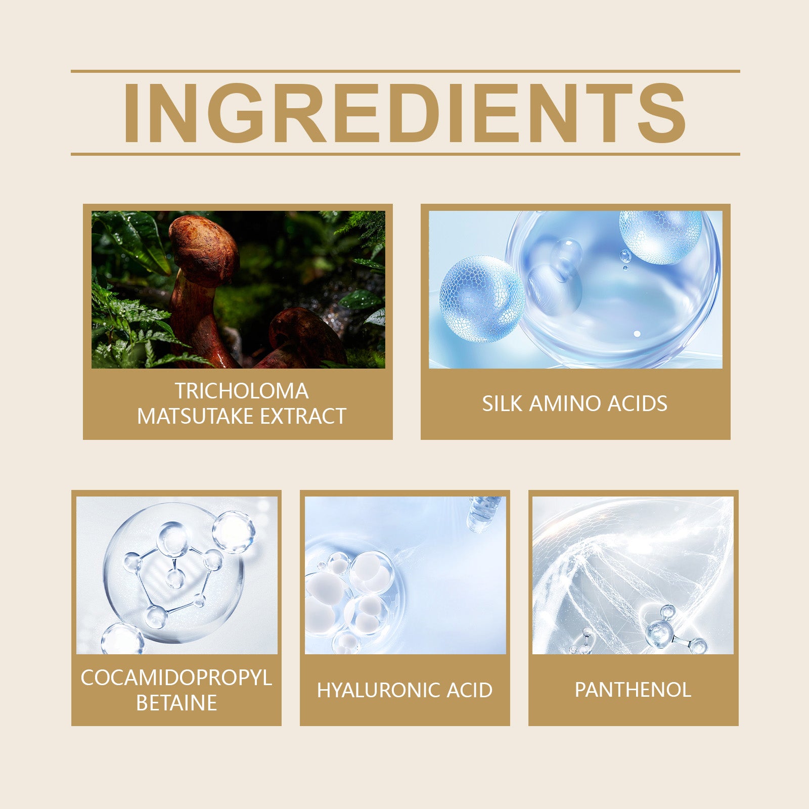 Amino Acid Cleanser for Gentle Pore Care