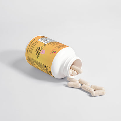 nootropic brain focus supplement