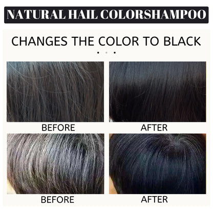 EELHOE 100ml Black Dye Shampoo Natural Herbal Hair Coloring Strengthen Hair Roots Nourishing Gray White Hair Turning Black Care