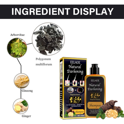 EELHOE 100ml Black Dye Shampoo Natural Herbal Hair Coloring Strengthen Hair Roots Nourishing Gray White Hair Turning Black Care