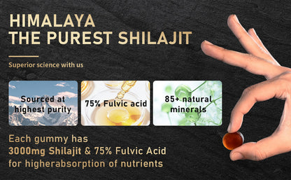 Xilaizhi Gummies 60 Capsules Canned